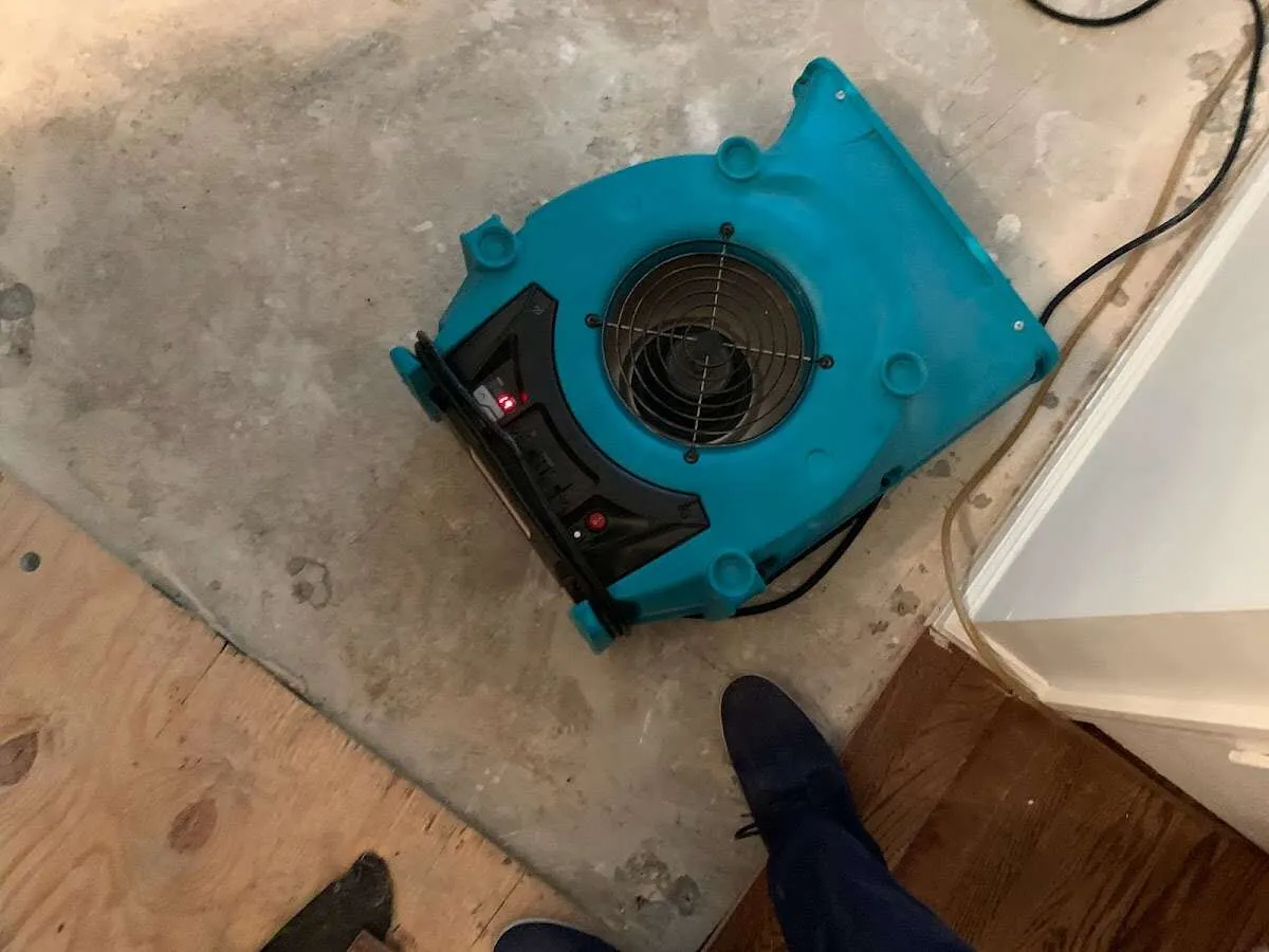 Air mover drying subfloor during Leak Detection & Repair in Cicero